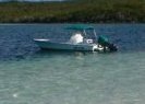 Bahamas boat rentals
